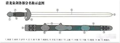 劍鞘是什麼|普及：劍的基本結構及名稱